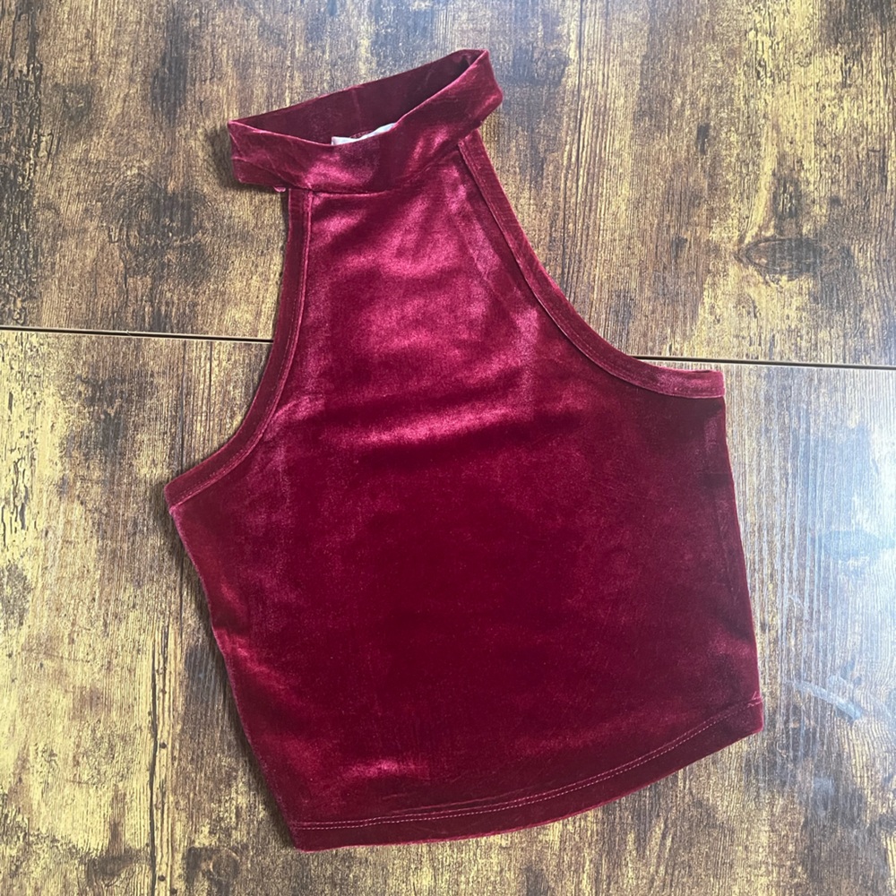 Bozzolo Stretch Velvet Crop Top in Deep Red